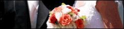 Plan Your Wedding and Find a Professional Wedding Vendor at WedProSearch.Com